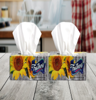 Why should you use Disposable Facial Tissues rather than the Cloth Napkin?