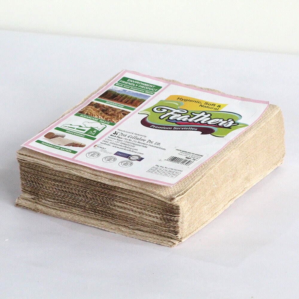 Bagasse Paper Napkin (Large) Natural Shade, Feels Soft, Super Absorbent, Made from Sugarcane waste Pulp- 2 Ply - 50 pulls - Sugarcane- 300mmX300mm (pack of 6)