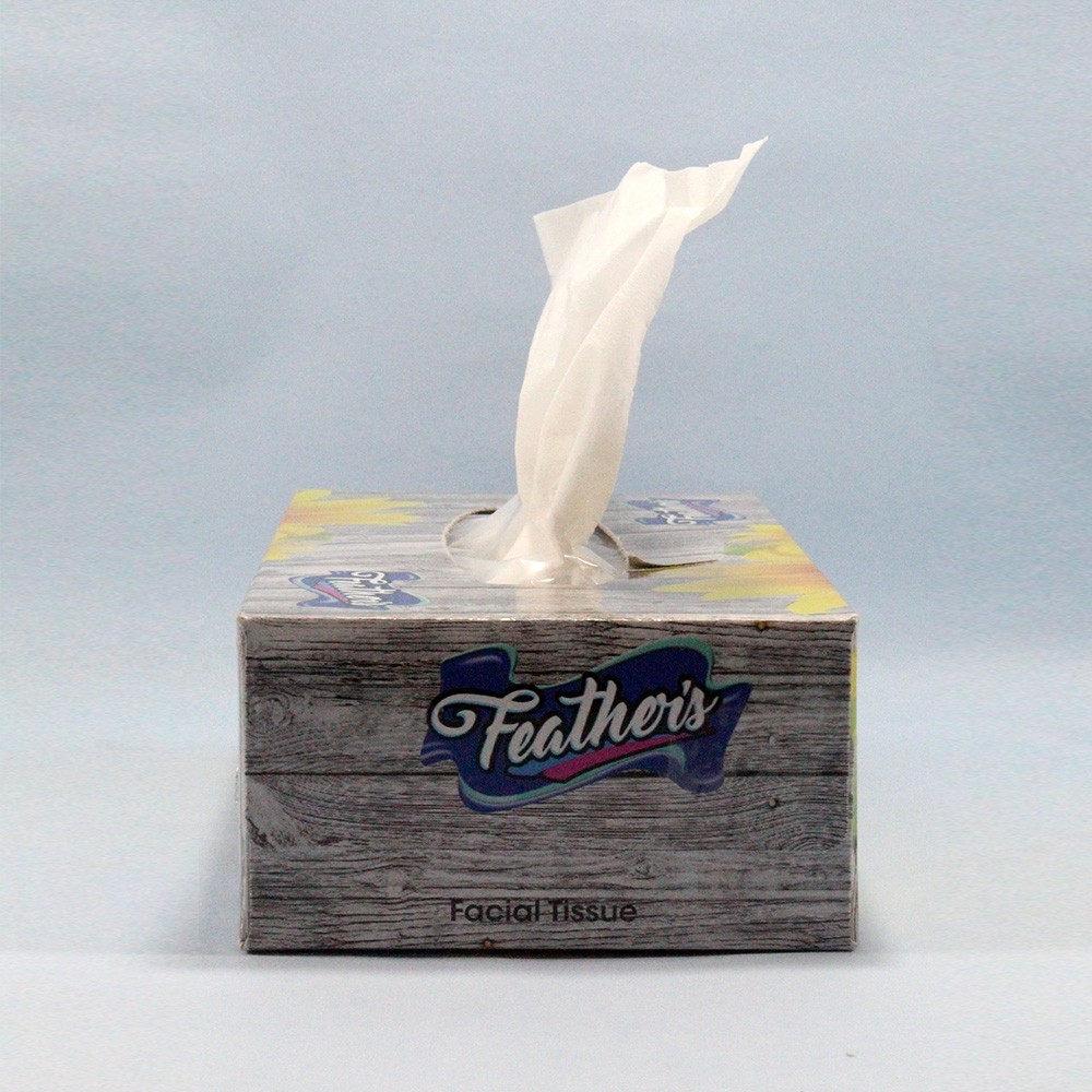 Feather's premium Facial Dry Tissue Paper, Super Soft, Super Absorbent & 100% Pure Tree Pulp Biodegradable, 2 Ply - 100 Pulls (Pack of 6)