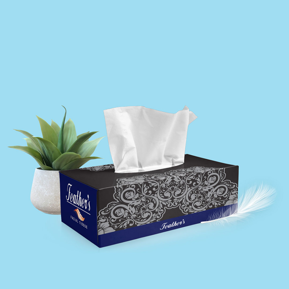 Feather's Facial Dry Tissue Super Soft & Super Absorbent Paper 2 Ply Pure Tree Pulp Biodegradable Tissue with 200 Pulls Per Pack (Pack of 6)