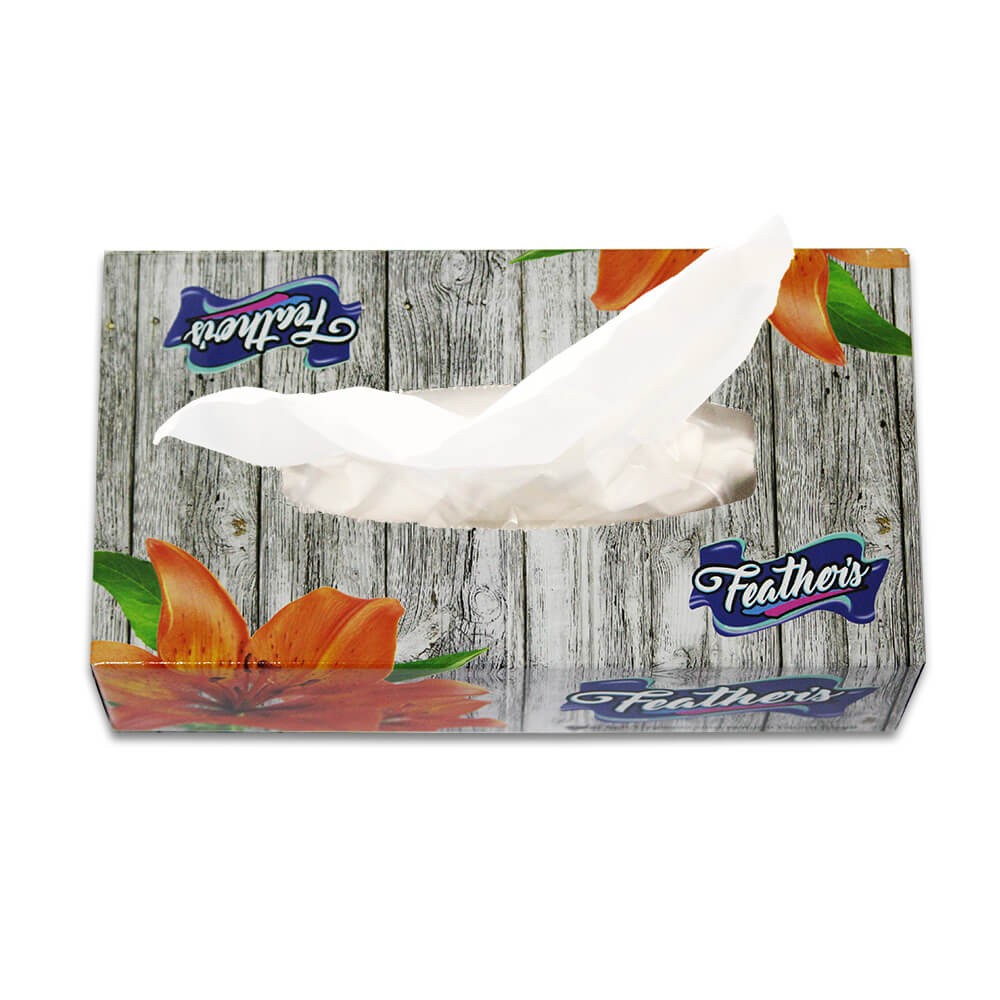 Feather's premium Facial Dry Tissue Paper, Super Soft, Super Absorbent & 100% Pure Tree Pulp Biodegradable, 2 Ply - 100 Pulls (Pack of 6)
